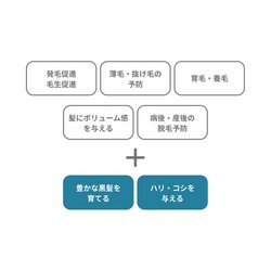 Nu Skin ニュースキン® ティ・エス スカルプ 薬用エッセンス ⅩⅦ 【医薬部外品】 - NewSkinShop